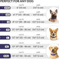 CollarDirect Rolled Leather Dog Collar, Soft Padded Round Puppy Collar, Handmade Genuine Leather Collar Dog Small Large Cat Collars 13 Colors (6 Inch, Purple Smooth)