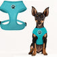 BINGPET No Pull Dog Harness,All Weather Mesh Step-in Vest Harness for Small Dogs,Breathable Mesh Puppy & Cat Harness