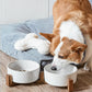 Dog Bowls Ceramic for Small Medium Dogs - 3-Cup Dual Food & Water Bowl Set with Acacia Wood Stand, Non-Slip Anti-Tip Elevated Design