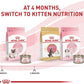 Royal Canin Feline Health Nutrition Mother & Babycat Ultra Soft Mousse in Sauce Canned Cat Food, 5.1 oz., Case of 24, 24 X 5.1 OZ