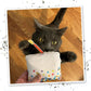Meowijuana Birthjays Bundle | Birthjays Catnip Joints and Get Lit Cake Refillable Toy | Hand Harvested and Rolled Dried High Potency Catnip | Grown in North America