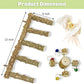 BNOSDM Natural Wood Bird Ladder Perch with Rotating Bell Toys-Exercise Stands for Parrot Climbing Chewing Parakeet Bridge Cage Accessories for Cockatiel, Conures, Lovebirds, Budgie