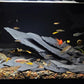 Natural Slate Stone Rocks 2 to 4 inch Aquariums Stone for Aquascaping,Terrariums,Reptile Enclosures,Paludariums, and Gardens-5lb