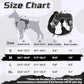 rabbitgoo Dog Harness No Pull, Military Dog Harness Medium Sized Dog with Handle & Molle, Easy Control Service Dog Vest Harness Training Walking, Adjustable Reflective Tactical Pet Harness, Black, M