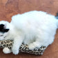 Extra Large 18" Catnip Kicker Toys/Kitty Kick Sticks/Cat-Nip Kick Sticks (Leopard) (Kickers Filled with 1 oz Premium Canadian Catnip)