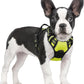 rabbitgoo Dog Harness No Pull with 2 Leash Clips, Adjustable Soft Padded, Reflective Oxford No Choke Pet Vest with Easy Control Handle for Small Dogs, Wild Lime,S