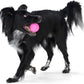 WEST PAW Boundr Ball Dog Fetch Toy – Bouncing Toys for Dogs, Fetch, Catch, Chewing, Play – Floatable, Recyclable Balls – Small Dandelion Yellow/Hot Pink 2-Pack