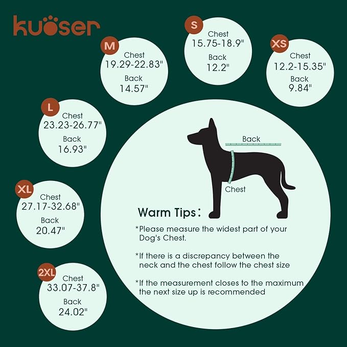 Kuoser Dog Surgery Recovery Suit, Thigh Wound Protective Sleeve for Dogs, Dog Recovery Sleeve for Female Male Dogs, Pet Surgical Suit for Spay Neuter, Dog Onesie After Surgery, Gray L