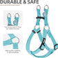 PUPTECK No Pull Dog Harness Soft Adjustable Basic Nylon Step in Puppy Vest Outdoor Walking with ID Tag, SkyBlue, XS