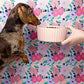 Waggo Ripple Ceramic Dog Bowl for Medium and Large Breeds - Modern with Matte Finish, Heavyweight Durable Pet Food and Water Dish Crock, Dishwasher Safe(Medium, Rose)