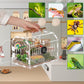 Acrylic Tarantula Enclosure – Escape-Proof Reptile Terrarium with Magnetic Lock, Front Opening for Easy Cleaning, Ideal for Jumping Spiders, Hermit Crabs & Small Pets