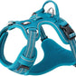 TRUE LOVE Dog Harness No Pull Nylon Reflective Pet Harness Adjustable Comfortable Control Step-in Brilliant Colors Truelove TLH56512 XS Blue