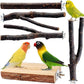 Bird Toys Parakeet Perch Budgie Perch Wood Stand Fork Toys Multi-Branch Perch Platform Toy for Small Conures,Cockatiel,Parrotlet,Lovebird,Parrot,Finches