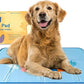 The Green Pet Shop Cool Pet Pad - Large, Disney’s Stitch - Self-Cooling, Pressure Activated Mat for Dogs & Cats from 46-80 lbs - Non-Toxic Gel, No Water Needed