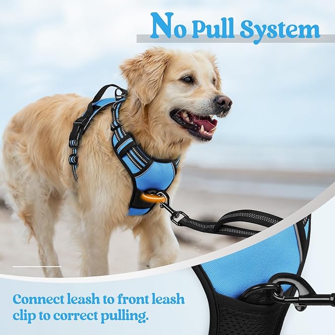 rabbitgoo Dog Harness No Pull with 2 Leash Clips, Adjustable Soft Padded, Reflective Oxford No Choke Pet Vest with Easy Control Handle for Large Dogs, Blue, L