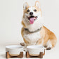 Ceramic Dog Bowl Set, 4 Cups Food and Water Bowl for Medium Small Dogs, Cute Pet Dishes with Wood Stand, Rhombus+Wave Design (Set of 2)