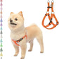 PUPTECK No Pull Dog Harness Soft Adjustable Basic Nylon Step in Puppy Vest Outdoor Walking with ID Tag Orange
