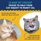 Under The Weather Pet | Ready Cal for Cats 100cc | High Calorie Supplement | Cat Weight Gainer and High Calorie Booster | 10 Vitamins, 7 Minerals & Omega Fatty Acids (2 Pack)