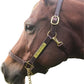 Leather Halter for Horses with Customized Engraved Name Plate Option Halter for Horse | Brown/Brass, Padded Halter (Blue or Green) Black/Brass, Black/Chrome Options
