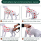 Kuoser Dog Recovery Suit Female, Dog Onesie for Surgery, Female Spay and Male Neuter Onesie for Post-Op Care, Prevent Licking Puppy Onesies, Pink L