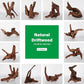 Driftwood for Aquarium Natural Aquarium Wood for Aquascaping Fish Tank Decorations Reptile Tank Decor (Natural Driftwood 6-10" (Pack of 3))