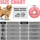 BINGPET Inflatable Dog Cone Collar Alternative After Surgery,Soft Recovery Cone for Dogs to Stop Licking,Protective Neck Donut E Collar Adjustable for Small Medium Large Dogs & Cats(Pink,XL)