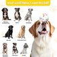 Dog Ball, 2.5 inch Dog Toy for Aggressive Chewers,ETPU Material Durable Ball for Launcher,Indestructible Bouncy Floating Balls for Dogs