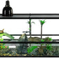 REPTIZOO 50 Gallon Large Turtle Tank Aquarium, 36"×18"×18" Tortoise Habitat Water-Land Ecological Turtle Tank with Drainage System Aquatic Aquarium, Terrarium for Tree Frogs, Salamanders