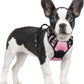 rabbitgoo Dog Harness No Pull with 2 Leash Clips, Adjustable Soft Padded, Reflective Oxford No Choke Pet Vest with Easy Control Handle for Small Dogs, Pink, S
