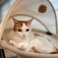 Cat Bed, Pet Hammock Bed for Cats and Dogs, Comfortable and Breathable Elevated Cat & Dog Nest, Easy to Assemble, Cover Removable and Washable, Suitable for Indoor and Outdoor Use (Cream)