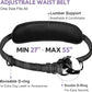 Hands Free Dog Leash with Pouch, Double Leash for Two Dogs, Retractable Bungee with Double Padded Handles, Dog Waist Leash for Dog Walking, Running Leash for Dogs, Dog Walking Accessories