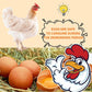 Chicken Dewormer, Hookworms, Lung Worms, Pin Worms, Round Worms