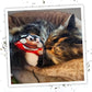 Meowijuana Refillable Cat Toys | Get Sprung - Ladybug and Mushroom Catnip Toys | Includes Potent Hand Harvested Catnip Grown in North America | Promotes Play and Cat Health