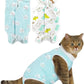 ANWA 2 Pack Cat Recovery Suit - Breathable Cat Onesie for Cats After Surgery Female, Kitten Surgery Recovery Suit Female Abdominal Wounds