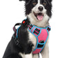 rabbitgoo Dog Harness Medium Sized, No Pull Dog Vest with 3 Buckles, Adjustable Soft Padded Pet Harness with Easy Control Handle and Reflective Strips, Rose Pink & Blue, M