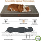 WNPETHOME Orthopedic Dog Bed Medium Size Dog, Waterproof Medium Dogs Bed with Removable Washable Cover, Multi-Needle Quilting Dogs Crate Bed