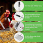 Large Chicken Poop Scooper, Metal Coop Scoop with 32" to 67" Adjustable Long Stainless Steel Handle, Chicken Poop Scooper for Sand with Heavy Duty Sifting Shovel for Chicken/ Horse/ Pet Coops (10 IN)