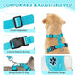 Lukovee Dog Seat Belt for Car, Adjustable Dog Car Harness for Large Medium Small Dogs, Soft Padded & Breathable Mesh Dog Seatbelt with Car Strap and Carabiner(Light Blue Double Clip,Small)