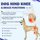 ROZKITCH Dog Surgery Leg Sleeve Rear Legs, Male Female Pet Prevent Licking Wound Elbow Knee Protector, Dog Recovery Suit Cone Collar Alternative Pants Shirt for Wound Heal Wrap Blue S