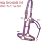 Weaver Equine Nylon Horse Halter, Triple-Ply Cheek Design, Original Non Adjustable Halters for Horses, Equine Tack,Average Size, Black