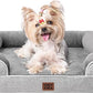EHEYCIGA Orthopedic Dog Bed for Small Dogs, Waterproof Memory Foam Small Pet Beds with Sides, Non-Slip Bottom and Egg-Crate Foam Medium Dog Couch Bed with Washable Removable Cover, Grey