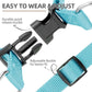 PUPTECK No Pull Dog Harness Soft Adjustable Basic Nylon Step in Puppy Vest Outdoor Walking with ID Tag, SkyBlue, XS