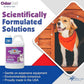 OdorPet Pet Stain Remover and Odor Eliminator - 64 Oz (Makes 2.55 Gallons of Working Solution) Non Staining, Professional Strength, Lavender Scent by Alpha Tech Pet