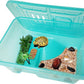 Fhiny Turtle Tank with Lid, Plastic Reptile Terrarium Turtle Breeding Box with Basking Platform Tortoise Aquarium for Crayfish Hermit Crabs Geckos Lizards Habitat Prevent Escaping (Medium)
