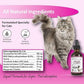 NODENS CAT Hip and Joint Glucosamine for Cats with Chondroitin - Cat Pain Relief from Inflammation - Cat Joint Supplement for Improved Joint Flexibility - Natural Liquid cat Health Supplies 59ml