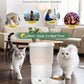 Gimars 5L/20 Cups Automatic Cat Feeder, Programmable 1-6 Meals Cat Food Dispenser with Stainless Steel Bowl, Easy Setup, Dual Power Supply,10s Meal Call Timed Pet Feeder for Cats and Small Dogs
