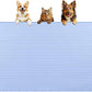 Dog Food Mat, Extra Large 40" x 28" Silicone Pet Feeding Mat with Raised Edge Pet Placemat for Small, Medium, and Large Pets Non-Slip, Easy to Clean (Blue)