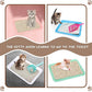 5pcs Kitten Litter Box, Small Cat Litter Box with Scooper, Small Litter Pan Low Entry Shallow Plastic Litter Tray Portable Cat Waste Tray Open Travel Kitten Boxes for Small Pet Rabbit Newborn Cat