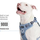 2025 New Edition, Fei & Eve MagEase Dog Harness - 3-Second Magnetic Buckles | 3-Point No-Pull Control | Heavy-Duty 900D Nylon | Dual Safety Handles | Breathable Mesh | Adjustable Fit | Large, Blue