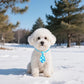 PET SHOW 10 Pack Winter Small Dog Ties Neckties for Doggies Cats Adjustable Neck Ties Girl Boy Pets Snowflake Costumes Puppy Grooming Accessories Holiday Party Gift Favor